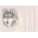  GREETING CARD Forest Wolf